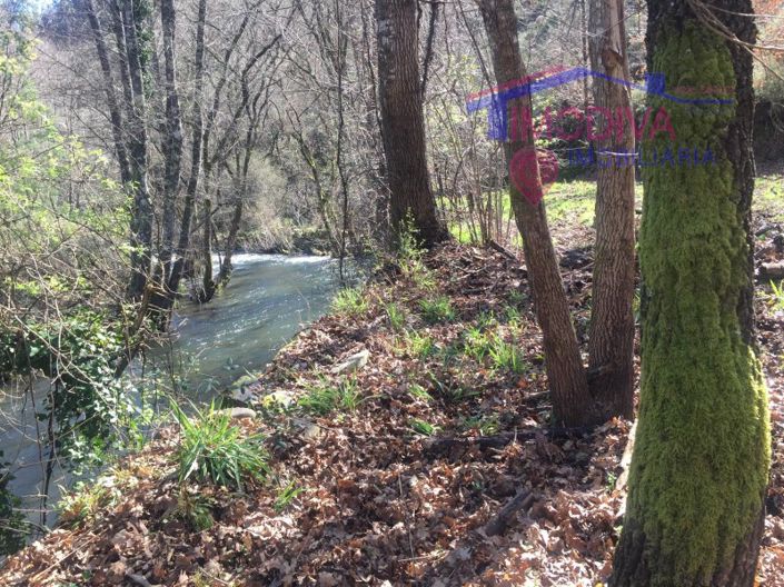 Image No.18-Maison à vendre à Pedrógão Grande