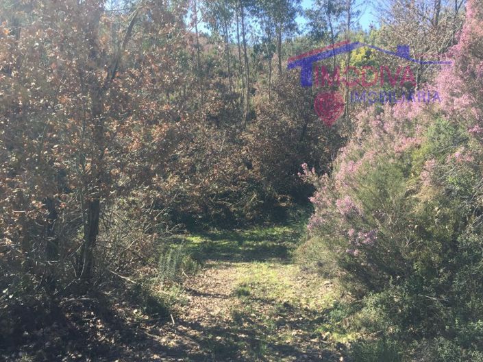 Image No.7-Maison à vendre à Pedrógão Grande