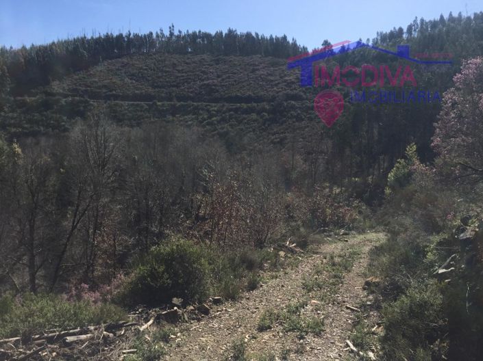 Image No.8-Maison à vendre à Pedrógão Grande