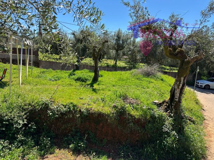 Image No.25-Maison de 2 chambres à vendre à Sertã