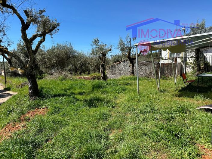 Image No.31-Maison de 2 chambres à vendre à Sertã