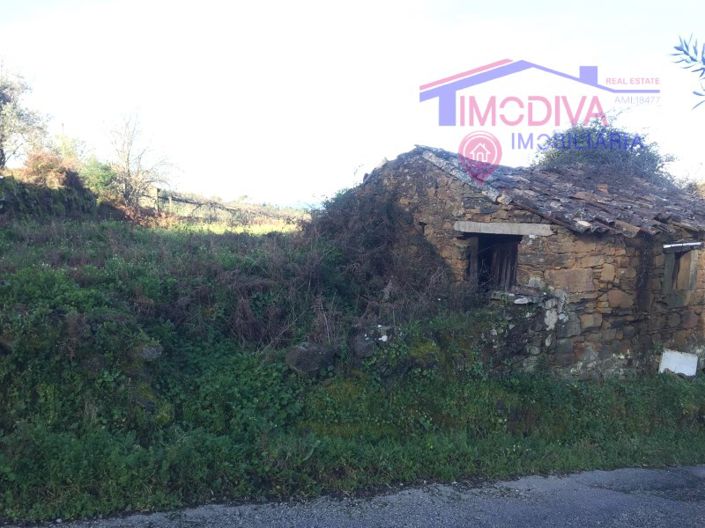 Image No.6-Maison à vendre à Sertã