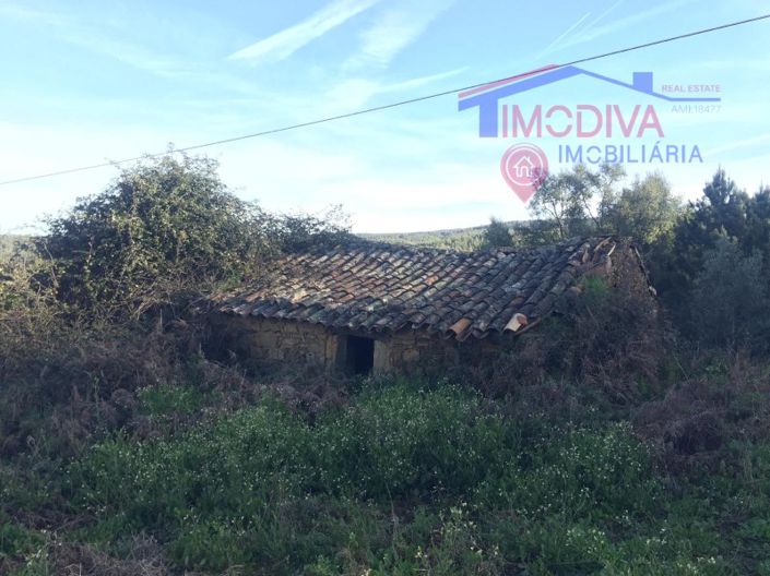 Image No.7-Maison à vendre à Sertã
