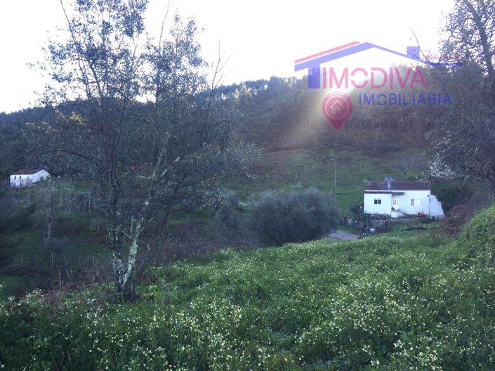 Image No.5-Maison à vendre à Sertã