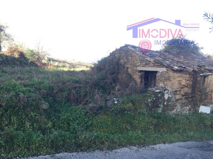 Image No.3-Maison à vendre à Sertã