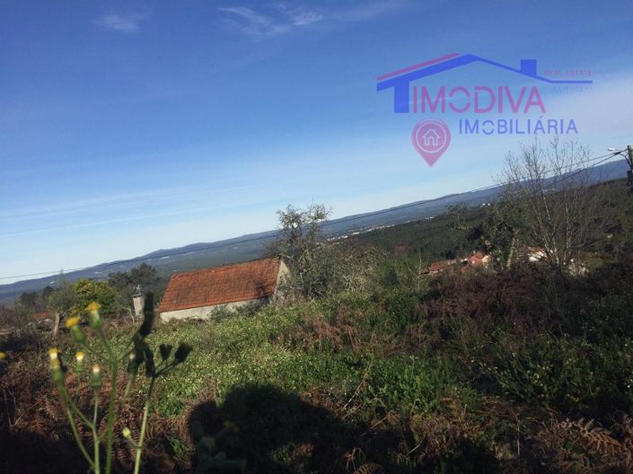 Image No.8-Maison à vendre à Sertã