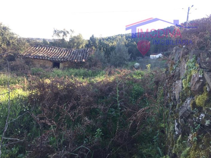 Image No.9-Maison à vendre à Sertã