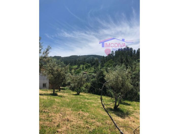 Image No.4-Plot for sale