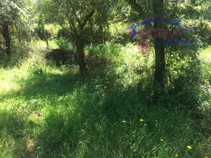 Image No.7-Plot for sale