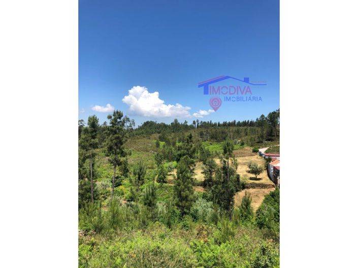 Image No.8-Plot for sale