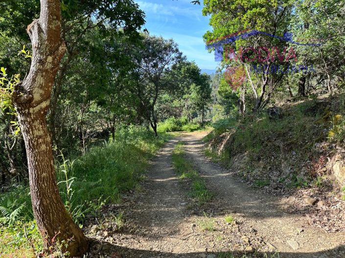 Image No.14-Maison à vendre à Sertã