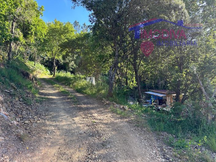 Image No.17-Maison à vendre à Sertã