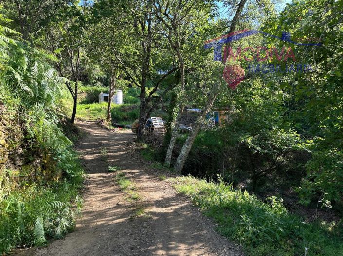 Image No.18-Maison à vendre à Sertã