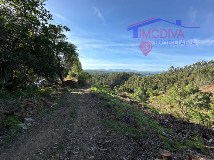 Image No.31-Maison à vendre à Sertã