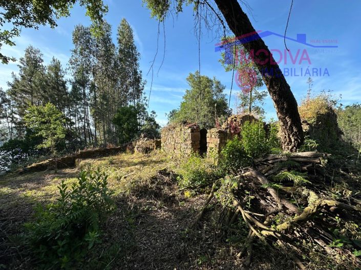 Image No.35-Maison à vendre à Sertã