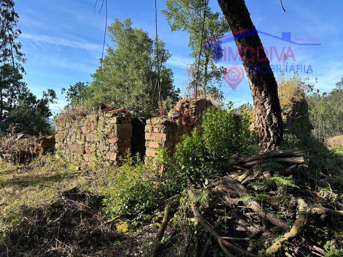 Image No.36-Maison à vendre à Sertã