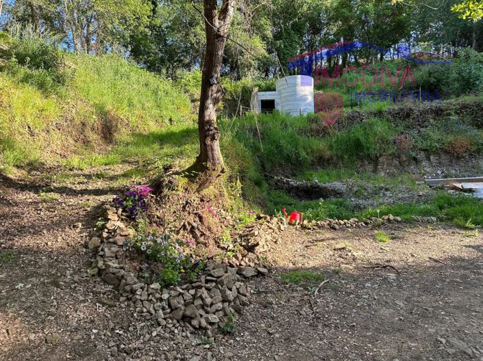 Image No.39-Maison à vendre à Sertã