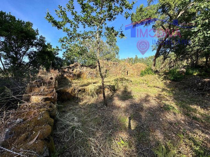 Image No.43-Maison à vendre à Sertã