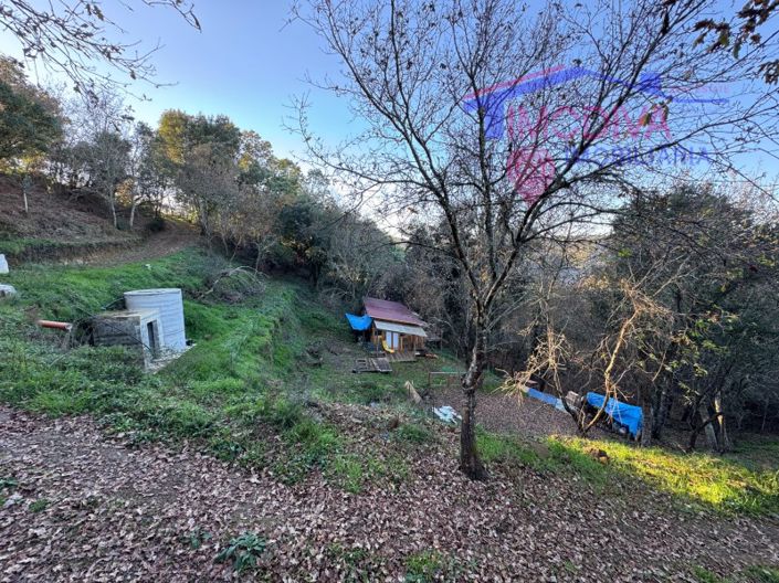 Image No.4-Maison à vendre à Sertã