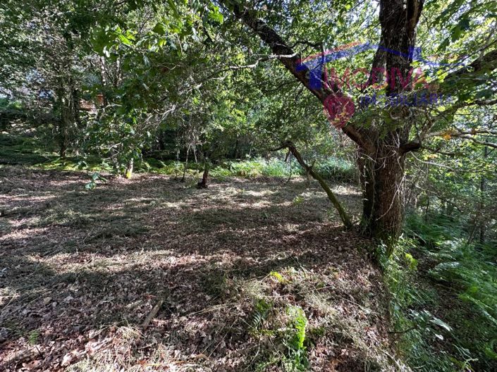 Image No.49-Maison à vendre à Sertã