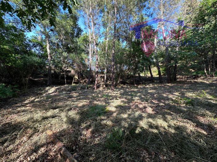 Image No.50-Maison à vendre à Sertã