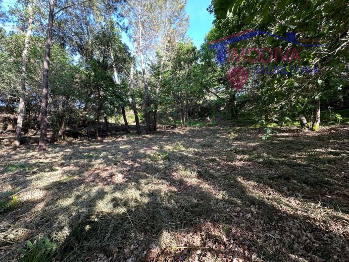 Image No.51-Maison à vendre à Sertã