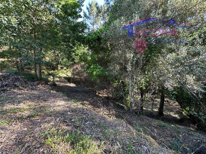 Image No.54-Maison à vendre à Sertã