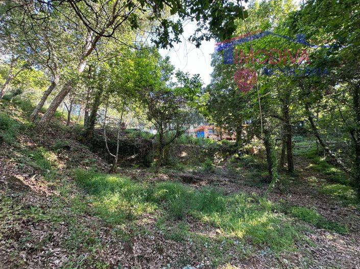 Image No.55-Maison à vendre à Sertã