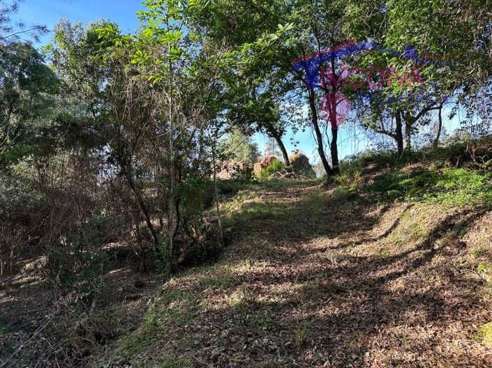 Image No.57-Maison à vendre à Sertã