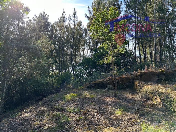 Image No.52-Maison à vendre à Sertã