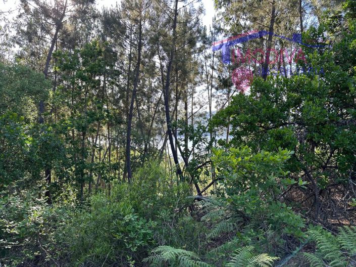 Image No.53-Maison à vendre à Sertã