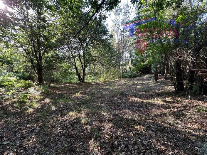 Image No.56-Maison à vendre à Sertã