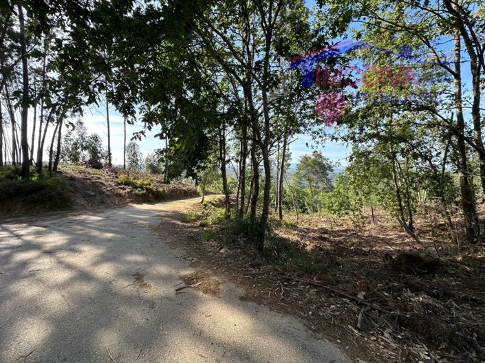 Image No.9-Maison à vendre à Sertã