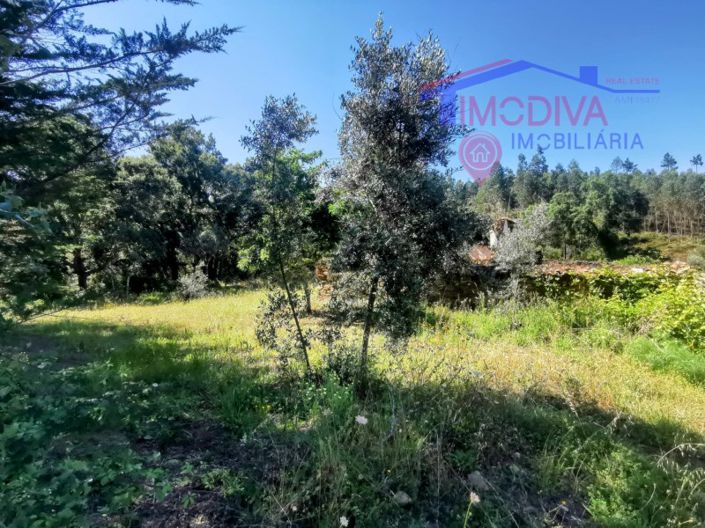 Image No.10-Maison de 1 chambre à vendre à Pedrógão Grande