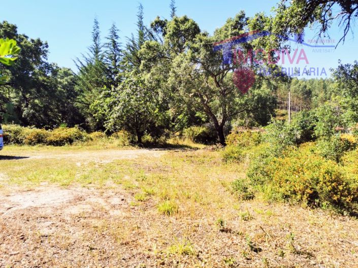 Image No.6-Maison de 1 chambre à vendre à Pedrógão Grande