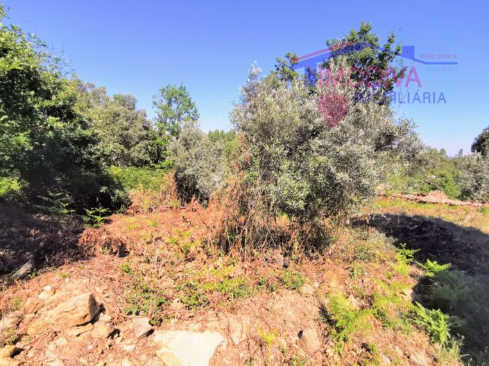 Image No.7-Maison de 1 chambre à vendre à Pedrógão Grande