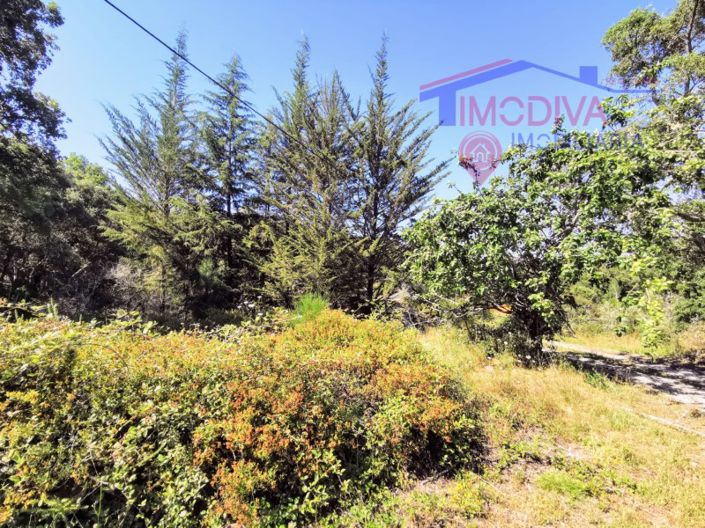 Image No.8-Maison de 1 chambre à vendre à Pedrógão Grande