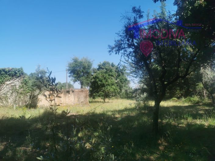 Image No.9-Maison de 1 chambre à vendre à Pedrógão Grande