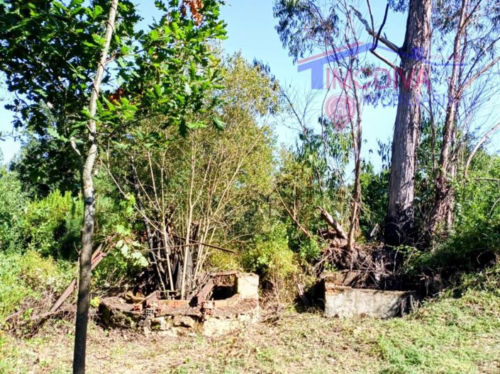 Image No.5-Plot for sale