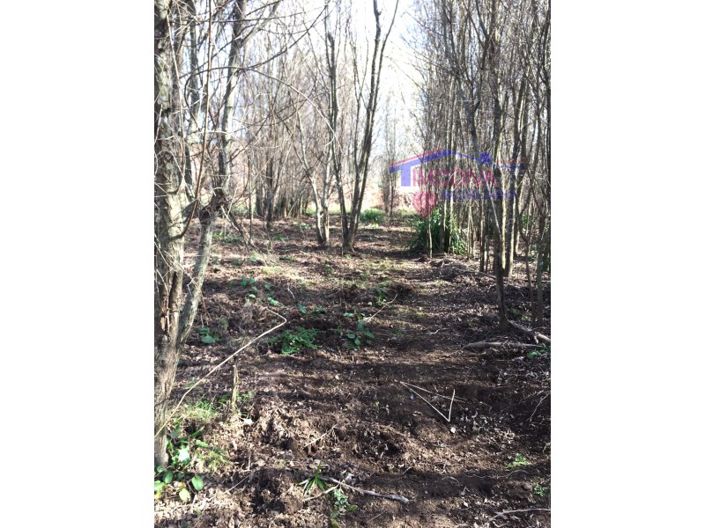 Image No.16-Maison à vendre à Pedrógão Grande