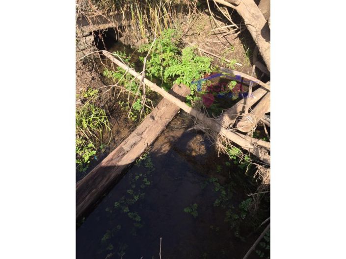 Image No.17-Maison à vendre à Pedrógão Grande