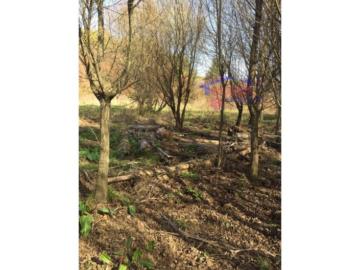 Image No.19-Maison à vendre à Pedrógão Grande