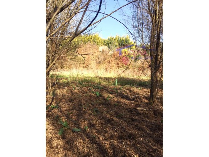 Image No.20-Maison à vendre à Pedrógão Grande