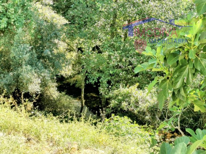 Image No.39-Bar à vendre à Figueiró dos Vinhos