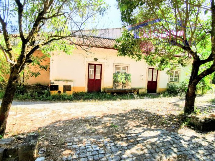 Image No.4-Bar à vendre à Figueiró dos Vinhos