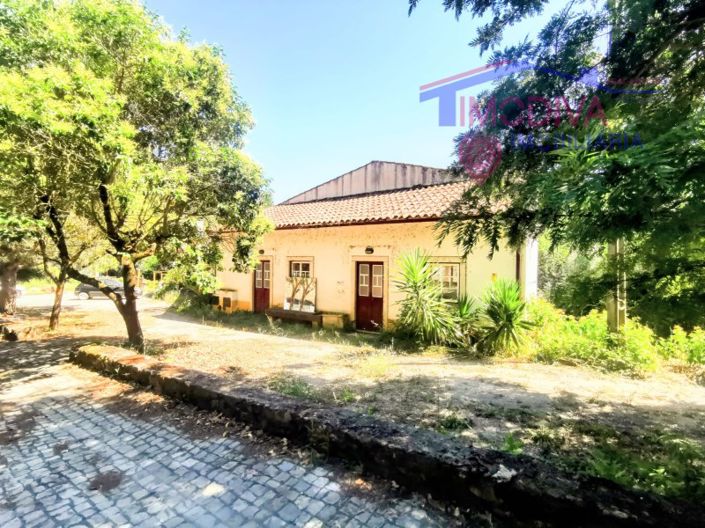 Image No.43-Bar à vendre à Figueiró dos Vinhos