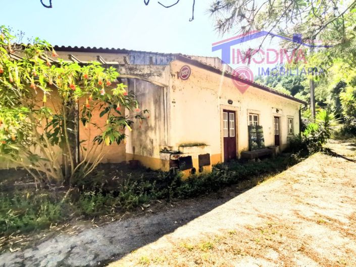 Image No.5-Bar à vendre à Figueiró dos Vinhos