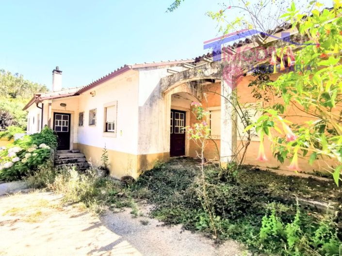 Image No.6-Bar à vendre à Figueiró dos Vinhos