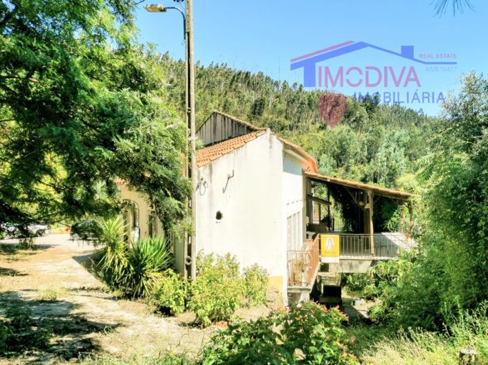 Image No.7-Bar à vendre à Figueiró dos Vinhos