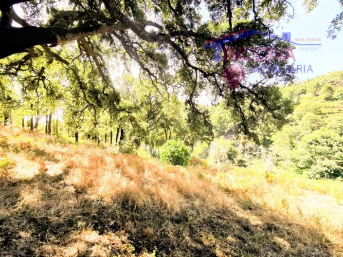 Image No.12-Maison de 2 chambres à vendre à Figueiró dos Vinhos
